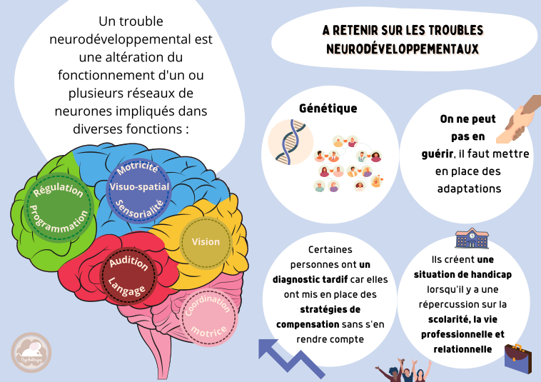 Infographie du cabinet Psychobayes "à retenir sur les troubles neurodéveloppementaux" : altération du fonctionnement d'un ou plusieurs réseaux de neurones impliqués dans diverses fonctions : régulation-programmation / motricité, visuo-spatial, sensorialité / vision / coordination motrice / audition - langage