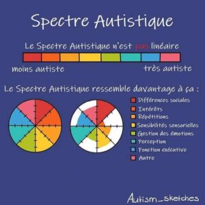 Le spectre autistique n'est pas linéaire