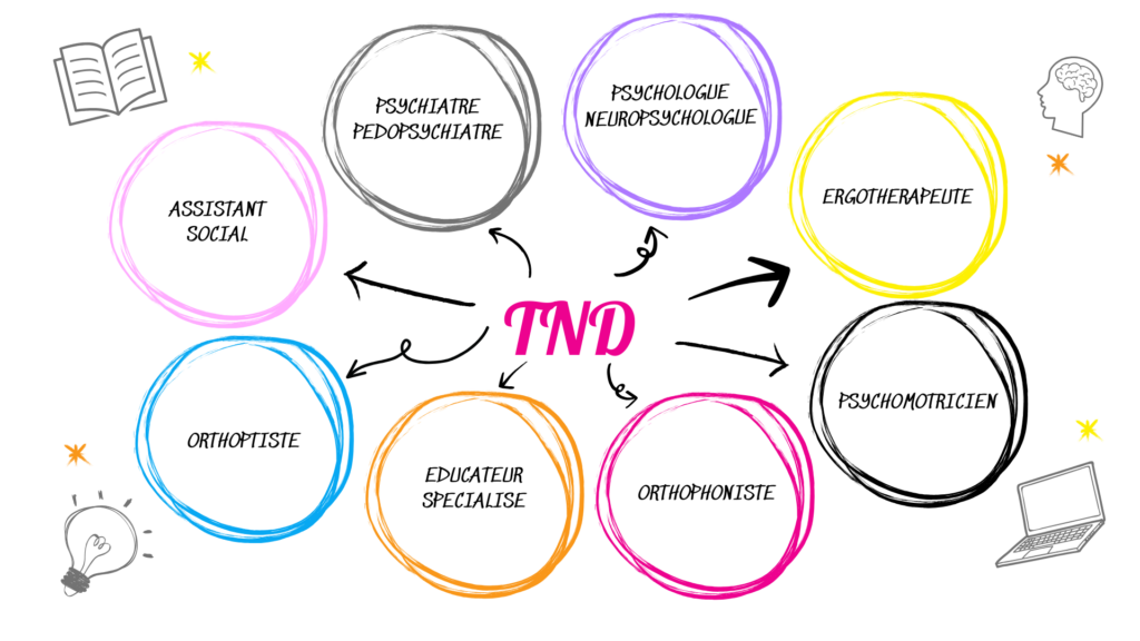 Les professionnels sur qui s'appuyer dans le cadre des TND (TSA, TDAH, DYS) : psychiatre ou pédopsychiatre, psychologue ou neuropsychologue, ergothérapeute, psychomotricien, orthophoniste, éducateur spécialisé, orthoptiste, assistant social. Diagnostic et/ou prise en charge