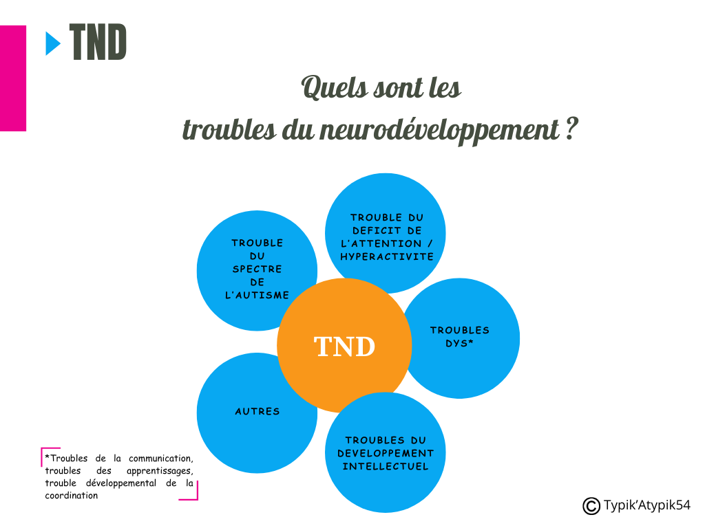 Les troubles du neurodéveloppemnt (TND) : troule du spectre de l'autisme, trouble du déficit de l'attention avec ou sans hyperactivité, troubles dys (troubles de la communication, troubles des apprentissages, trouble développemental de la coordination), troubles du développement intellectuel, autres