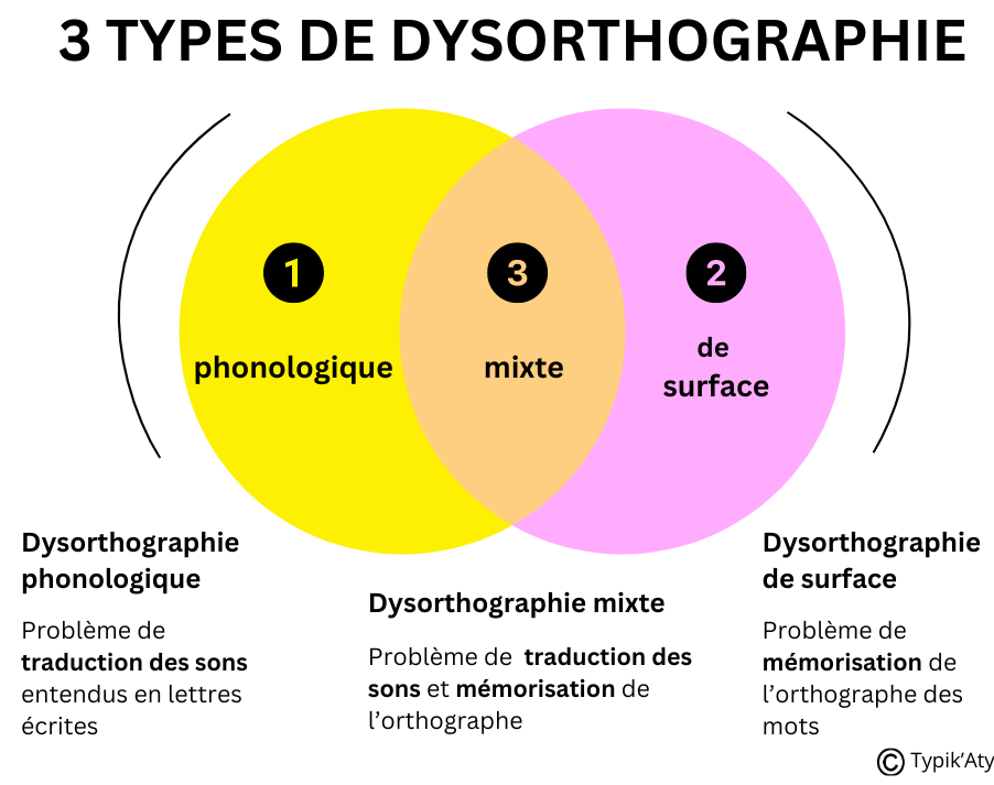 Les trois types de dysorthographie : la dysorthographie phonologique (problème de traduction des sons entendus en lettres écrites), dysorthographie de surface (problème de mémorisation des l'orthographe des mots) et dysorthographie mixte (combinaison des deux types de dysorthographie précédents : problème de traduction des sons en lettres et problème de mémorisation de l'orthographe des mots