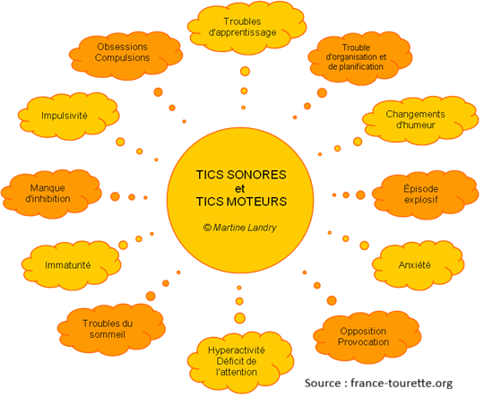 TDAH, troubles du sommeil, immaturité, manque d'inhibition, impulsivité, obsessions/compulsions, troubles des apprentissages, changements d'humeur, épisodes explosifs, opposition/provocation, anxiété, changements d'humeur, etc.